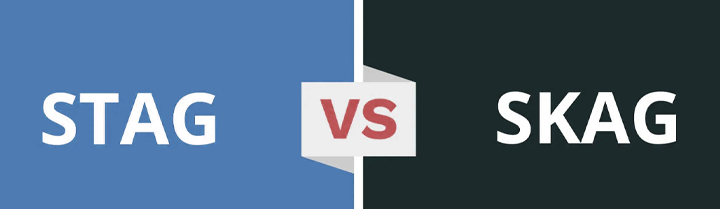 skag-vs-stag-which-google-ads-strategy-delivers-better-roi-in-2025